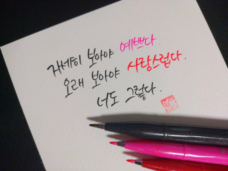  [초보 캘리그라피] 시인 나태주 - 풀꽃 3가지 글귀 손글씨 모음