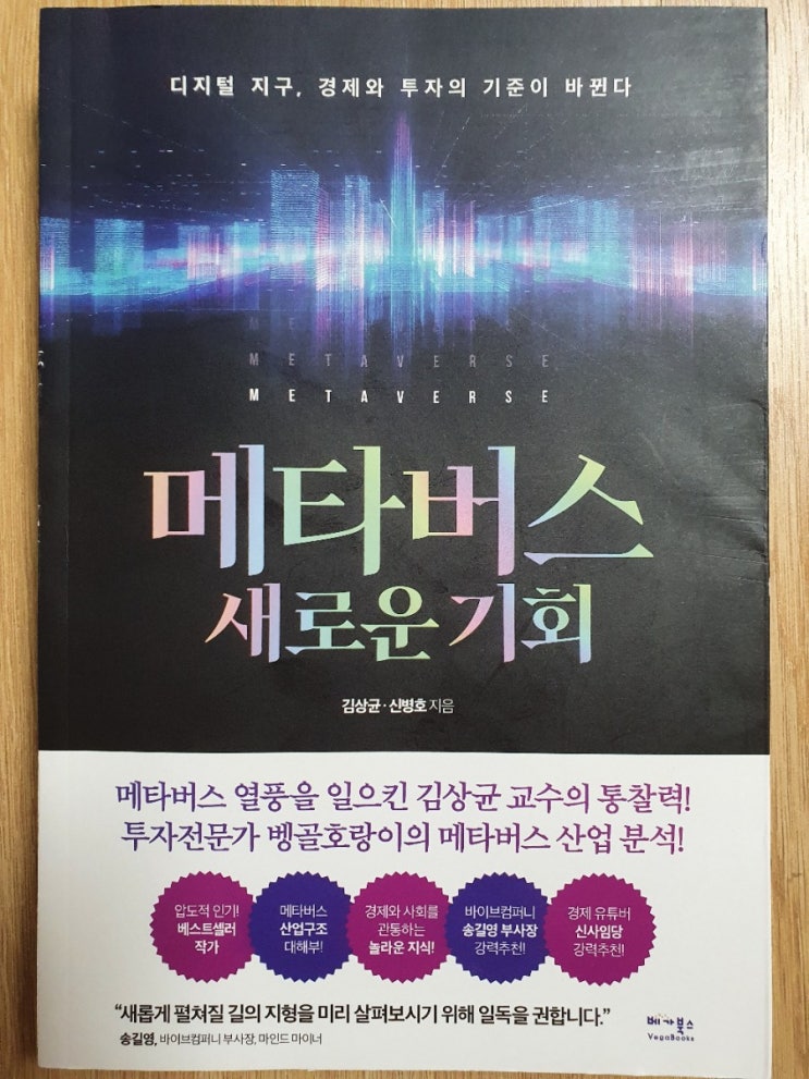  메타버스를 이해하고 1등 기업을 찾자, '메타버스 새로운 기회'를 읽고.. (스토리라인이 있는 읽기 쉬운 책)