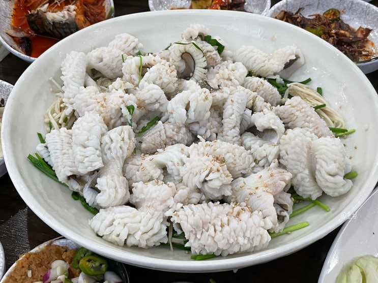  광주 풍암동 맛집 사계절 하모회 맛있어요