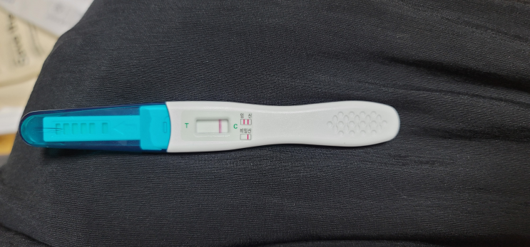 열세번째시도 : 배란 8일차 임테기