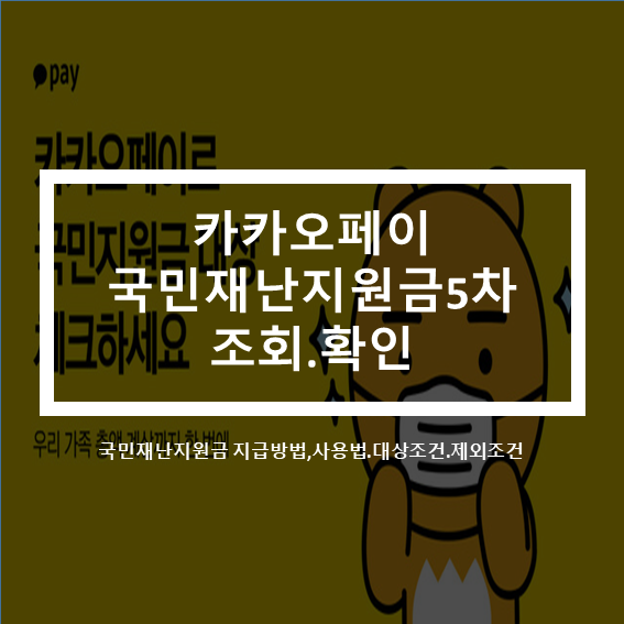 카카오페이 국민재난지원금 5차조회확인(feat.사용처.대상조건.제외조건)