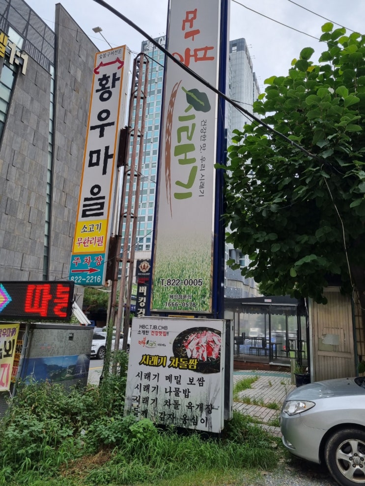 대전 유성 맛집, 따봉시래기 차돌박이 맛집