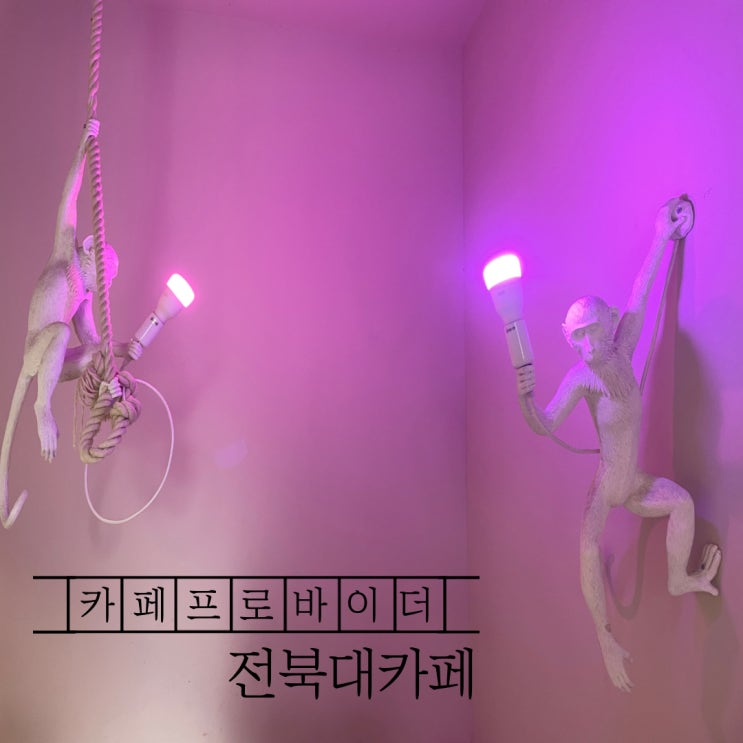  [ 카페프로바이더 ] 전주 전북대 카페 / 1,2층 / 디저트 / 분위기 / 사진찍기좋은 / 일찍여는카페