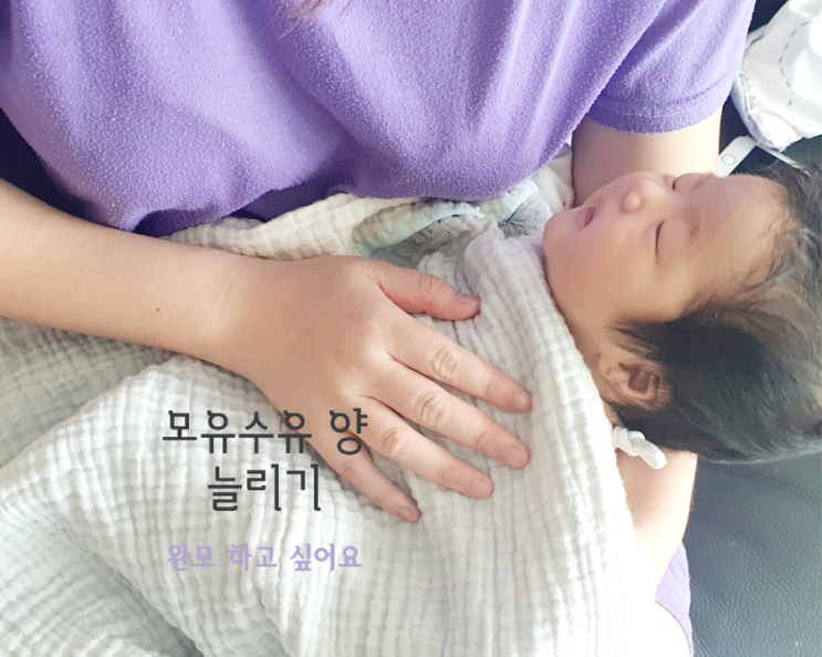  젖양, 모유 수유 양 늘리는 방법 알아봐요.