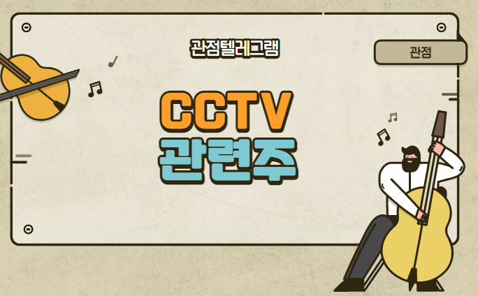 CCTV 관련주