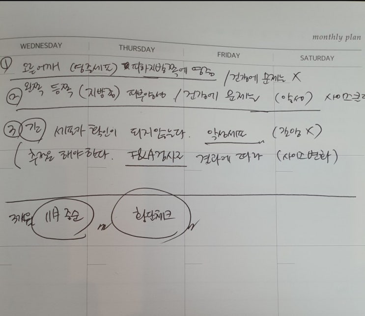 강아지 간 종양 CT 촬영 결과 건강검진 기록