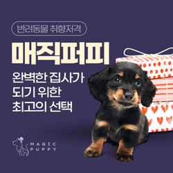  반려동물 쇼핑몰/반려동물이 행복해지는 마법 매직퍼피