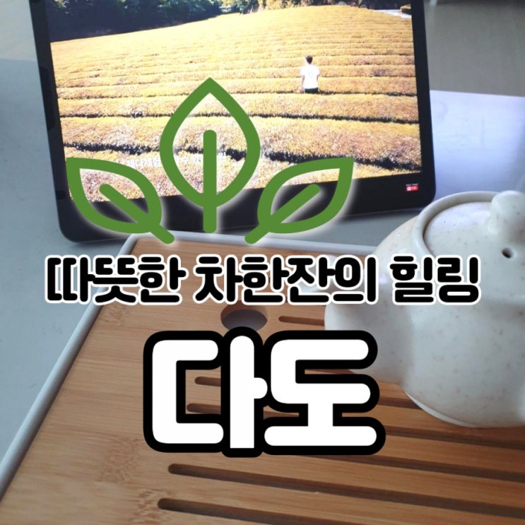  따뜻한 차, 따뜻한 물한잔의 효능(feat. 이효리,화사 다도)