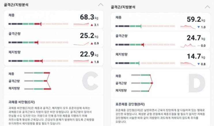 100일간의 다이어트, 그리고 인바디 변화기록 [인바디 체형종류 CID : 과체중비만형(c자)에서 표준체중 강인형(d자) 으로 변화한 후기]