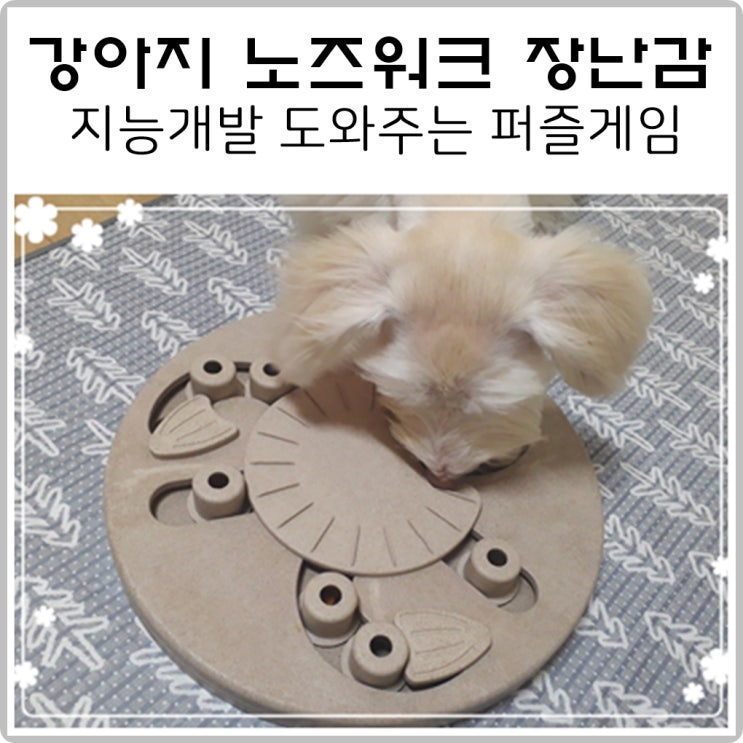  강아지 노즈워크 장난감 지능개발 도와주는 퍼즐게임