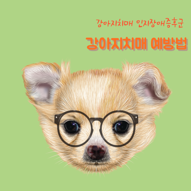 강아지 치매(인지장애 증후군) 치료와 예방