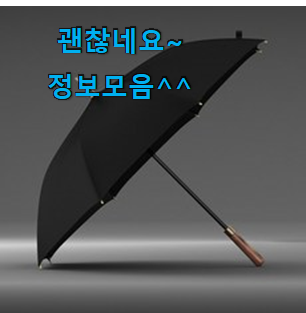 직접찾은 자동장우산 좋은물건 확실한 정보네요.