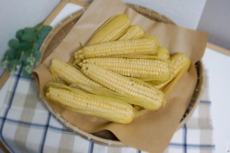  밖에서 사 먹는 맛! 백종원 옥수수 삶는법, 남은 생옥수수 보관법 꿀팁