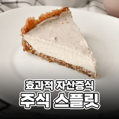  주식 스플릿 투자, 자산분배 앞으로의 대안
