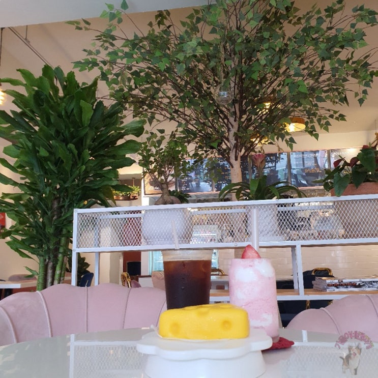  의정부카페> 감성카페<카페 리베> - 감성뿜뿜한 신상카페 보실래요?