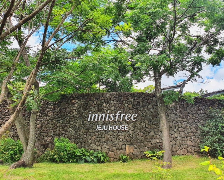  여름이의 두번째 제주 녹차밭에서 즐기는 브런치 "이니스프리 제주하우스"