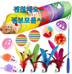 실시간 고양이장난감 베스트 인싸템 이런건 널리 알리자구요. 실시간 고양이장난감 베스트 인싸템 이런건 널리 알리자구요.