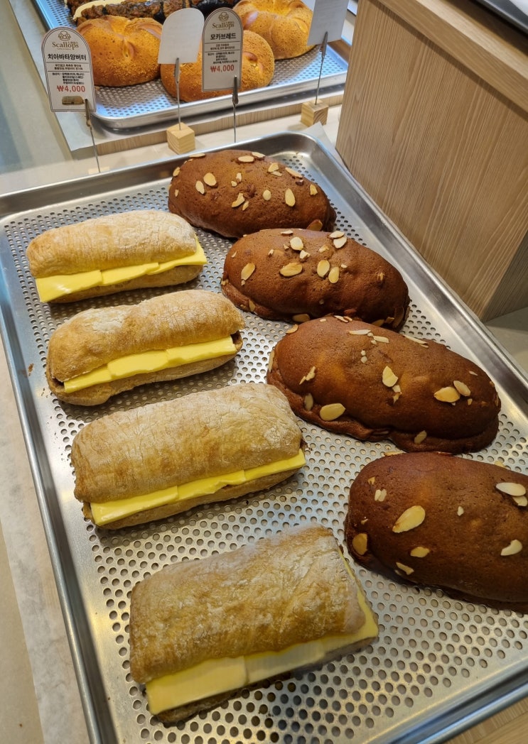  동해 대동카페 스캘럽스 베이커리 커피 둘다 맛있다