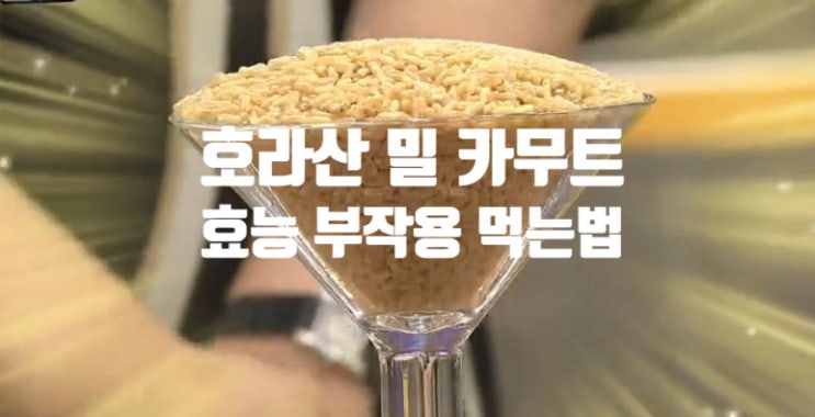 호라산밀 카무트 효능과 부작용 (ft. 하루 섭취 권장량 밥 차 만들기) 쌀이 아니라 밀이다.