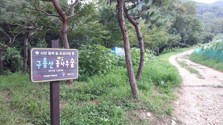  쉽고 가볍게 걸을 수  있는 구름산 등산