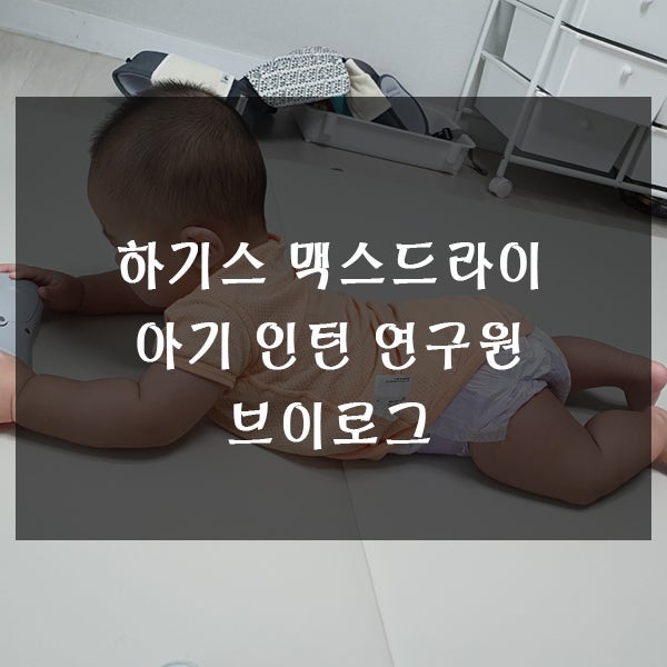  하기스 맥스드라이 아기 인턴 연구원의 브이로그