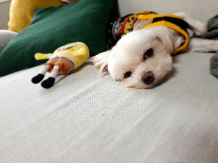  언년이 HOTEL 조식