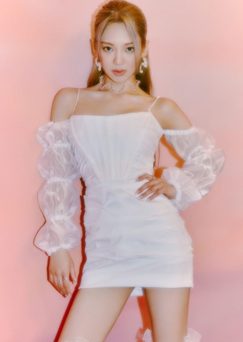 소녀시대 효연 프로필 나이 키 학력 여담 인스타그램 사진 말실수 second 청춘불패 캐스팅비화
