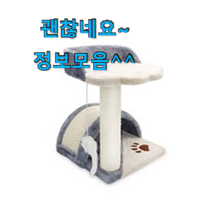 후회안합니다. 대형캣타워 좋은 아이템 옆집도 추천했어요. 후회안합니다. 대형캣타워 좋은 아이템 옆집도 추천했어요.