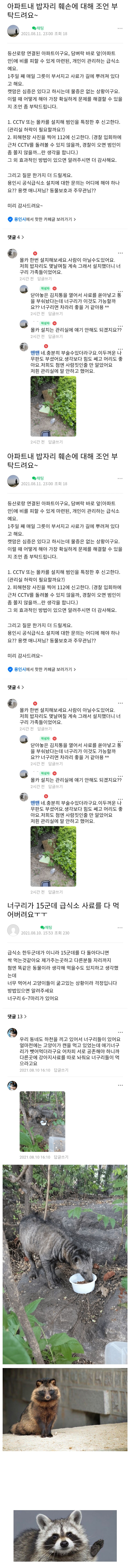  캣맘들의 적발