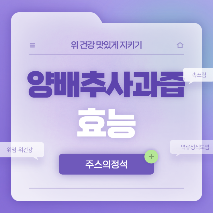  속쓰림·위 건강은 양배추사과즙으로 【#양배추 효능 #주스의정석】
