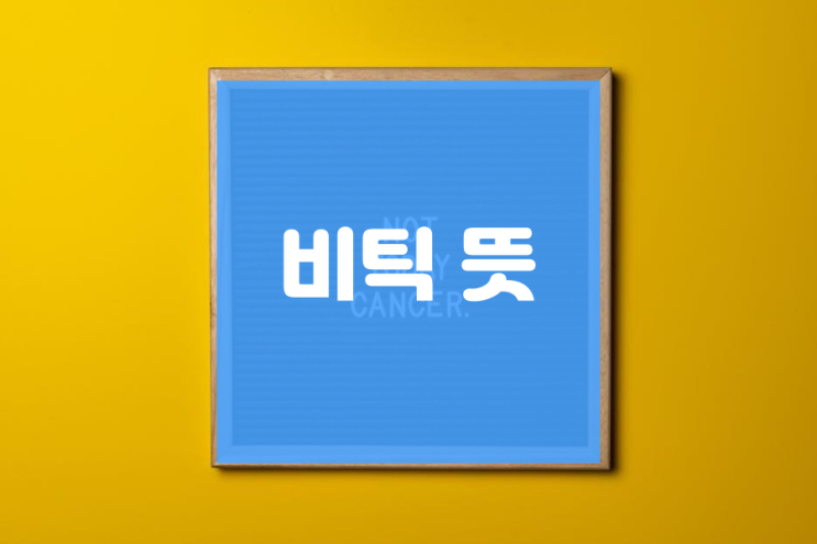  비틱 뜻 한번에 정리 (ft. 네덕)