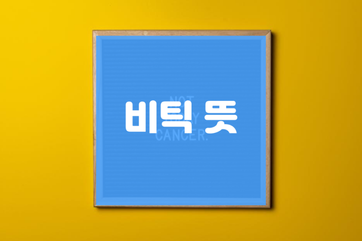 비틱 뜻 한번에 정리 (ft. 네덕)