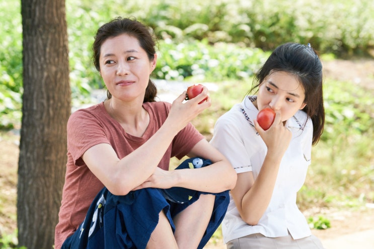  [오늘의 조각들] #5 : 0814 여름만의 순간들을 담아 /리틀포레스트/힐링영화추천