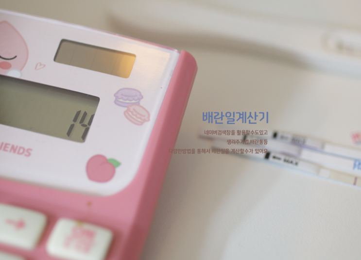 배란일계산기로 임신가능일을 알수있어요