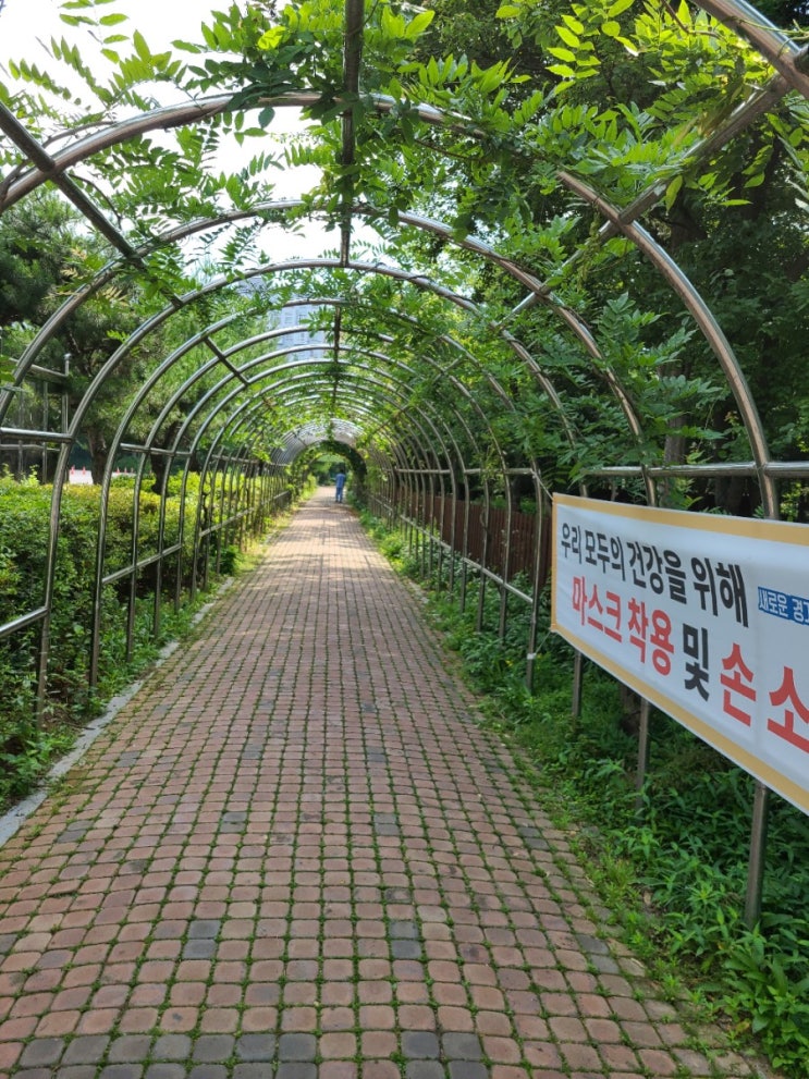  아이들과 가볼만한 곳 경기도 오산 물향기 수목원 힐링 타임 도시락과 돗자리는 필수아이템
