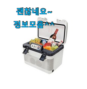 오늘의 코스트코차량용냉장고 꿀템 순위 장모님도 좋아하세요.