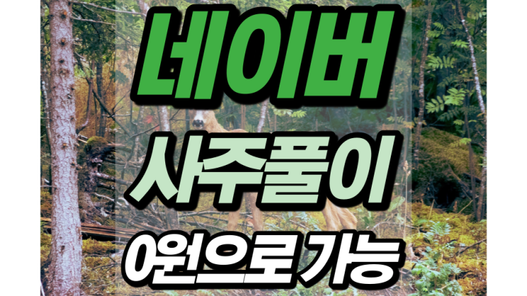 네이버 무료사주풀이 여기에 다 있어요 네이버 무료사주풀이 여기에 다 있어요
