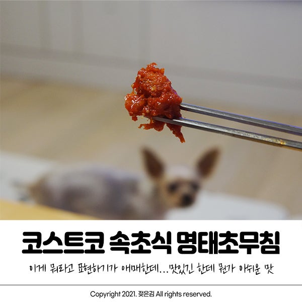 코스트코 속초식 명태초무침 맛있는데 뭔가 애매해 코스트코 속초식 명태초무침 맛있는데 뭔가 애매해