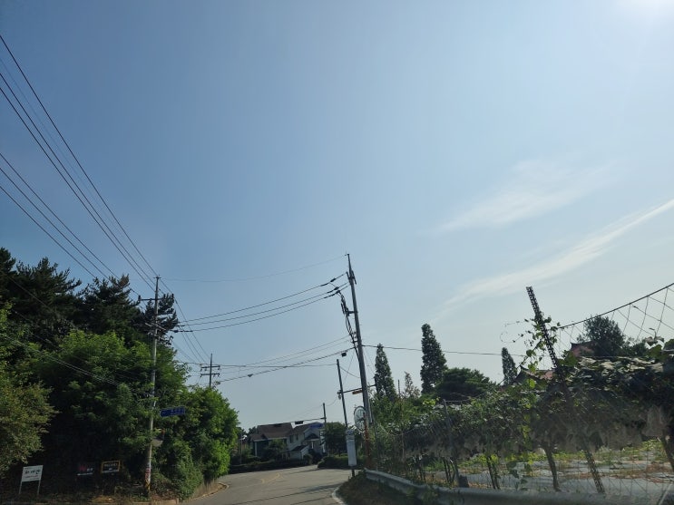  오랜만에 일상인듯 아닌듯 글올려요