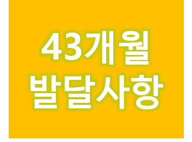  43개월 딴딴이 발달사항
