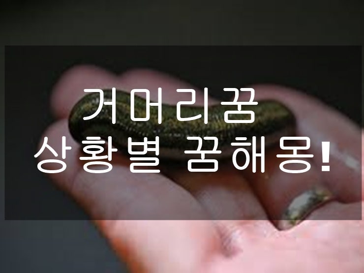 거머리 꿈 상황별로 꿈해몽 준비했어요