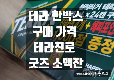  [1년 전 오늘] [테라 맥주]테라 355ml 24캔 한박스 구매 가격 후기(진로테라 소맥잔)/테라 355ml,500ml 한박스 가격