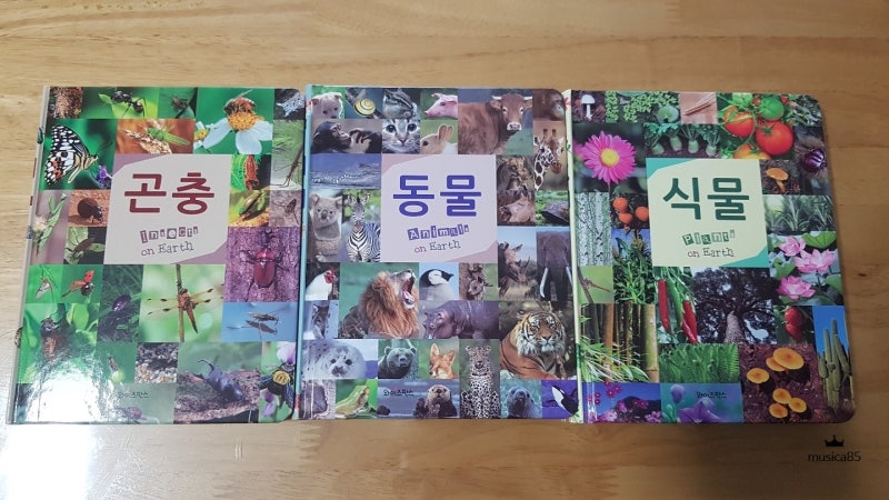 블로그 후기 사진