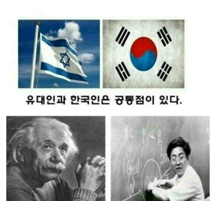유대인과 한국인의 공통점과 차이점