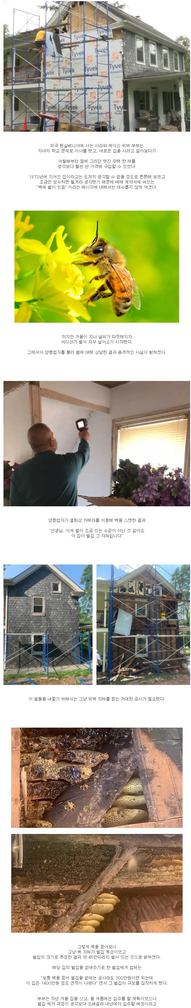  집을 산다는 게 벌집을 사버림