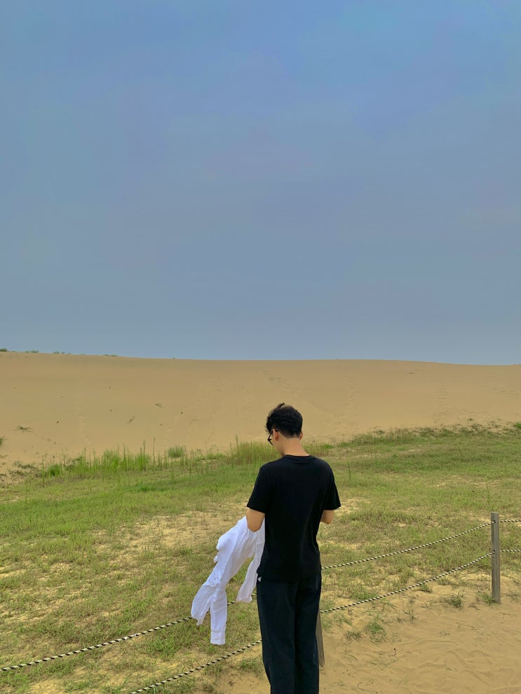  태안 신두리 해안사구 사막에 놀러 온 느낌
