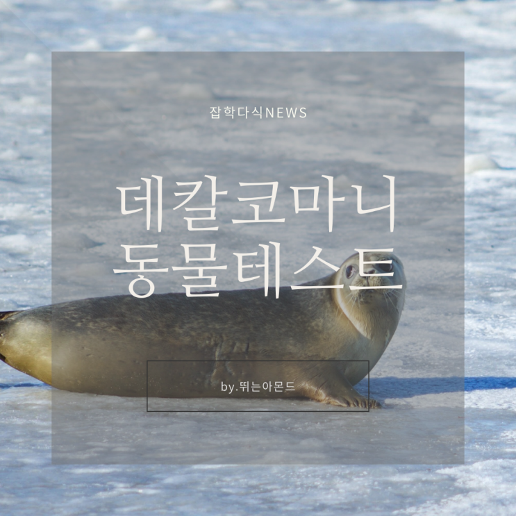  데칼코마니 동물테스트,연인과 하는 연애성향확인^^