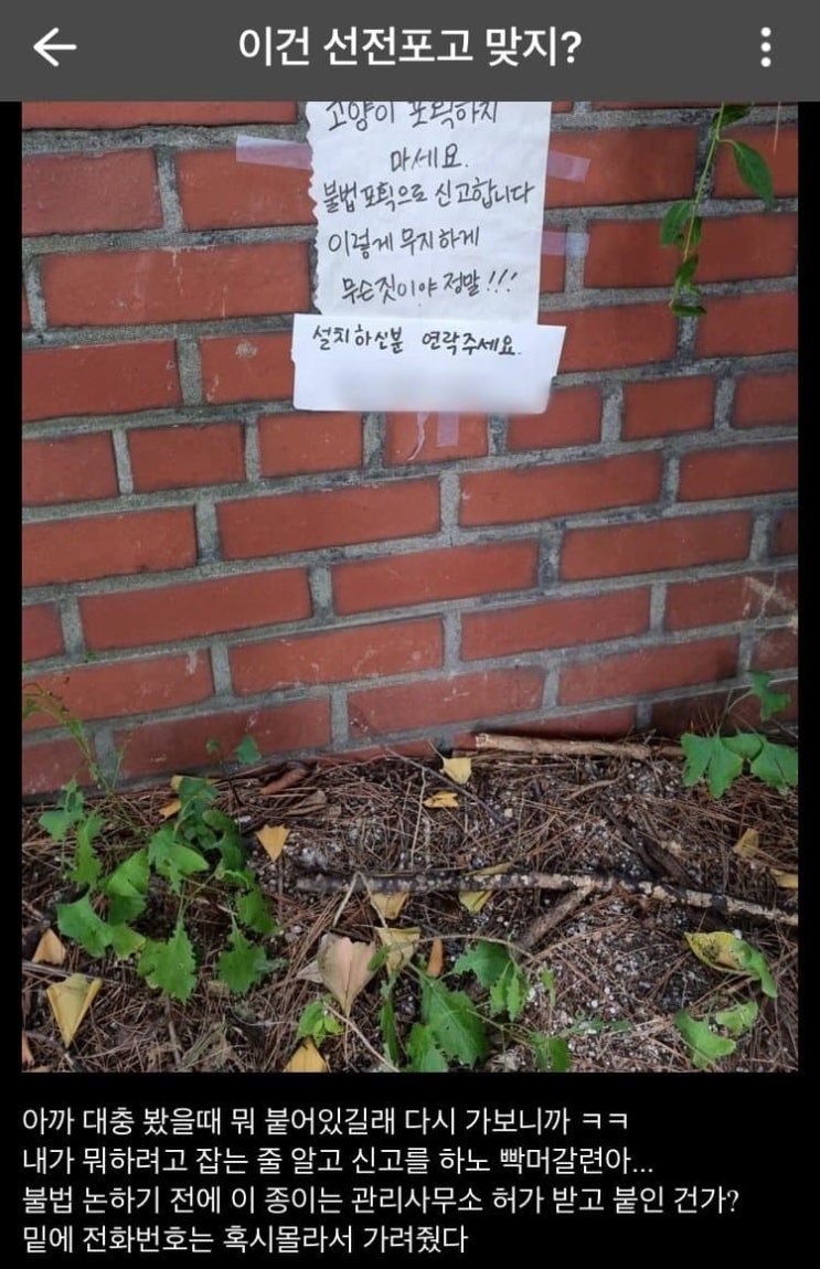  또 범죄 저지른 캣맘