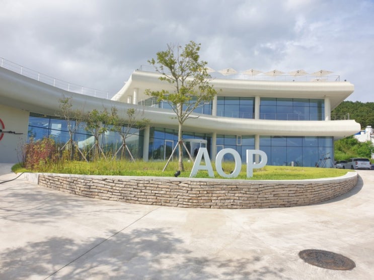  [울산 간절곶카페] 서생 베이커리 신상카페 - AOP - 리뷰