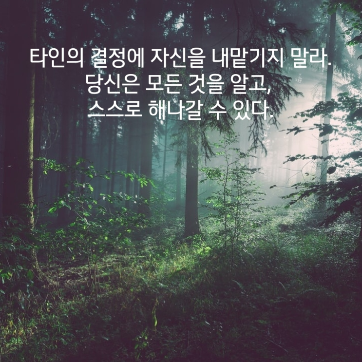  트랜서핑 타로카드 사용방법